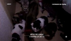 Veto de choc - épisode 2 - 26 09 17 - W9