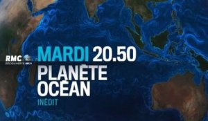 Planète océan - 08 08 17- RMC Découverte