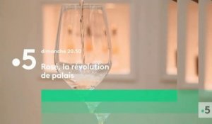 Rosé, la révolution de palais - france 5 - 10 06 18