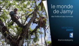 Le Monde de Jamy - 15/07/15
