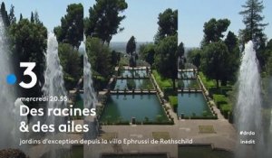 Des Racines et Des Ailes - Jardins d'exception, depuis la Villa Ephrussi de Rothschild - 16 05 18