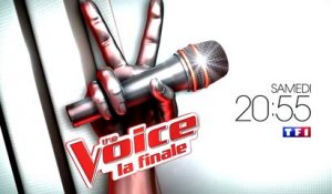 the voice - ba finale