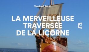 La merveilleuse traversée de la Licorne - france 4