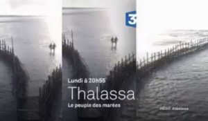 Thalassa - Mont-Saint-Michel - France 3 - 22 01 18