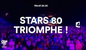 Stars 80 triomphe - France 4
