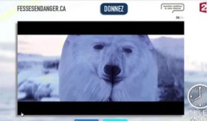 Le zapping du 13/03 : Des fesses grimées en ours polaire… contre le cancer !