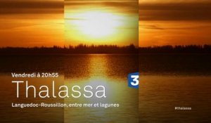 Thalassa- Languedoc-Roussillon - France 3 - 11 03 16