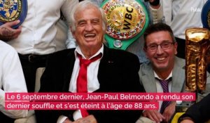Héritage de Jean-Paul Belmondo : cinq mois après sa disparition, sa famille vend son luxueux appartement parisien