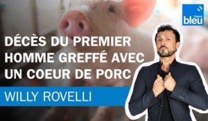 Décès du premier homme greffé avec un cœur de porc - Le billet de Willy Rovelli