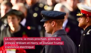 Donald Trump : Le président américain dans le collimateur du Prince Harry !