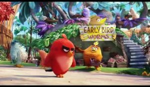 Angry Birds - VF