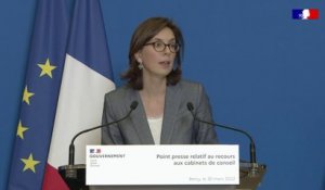 Cabinets de conseil : Amélie de Montchalin dénonce les "récupérations politiques"