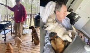 Chaque jour, ce retraité partage le moment de sa sieste avec les chiens du voisinage