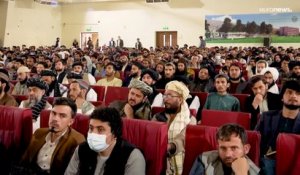 Culture du pavot interdite en Afghanistan : les talibans menacent de détruire les plantations