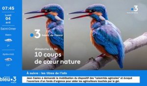 04/04/2022 - Le 6/9 de France Bleu Nord en vidéo