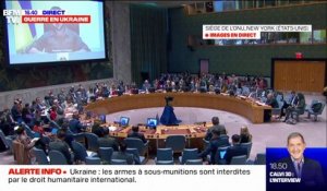 Volodymyr Zelensky: "Les Russes ont commis des exécutions sommaires" à Boutcha