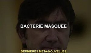 bactéries masquées