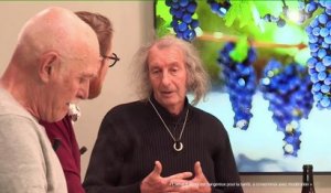 Vins rebelles & cépages hybrides "interdits"