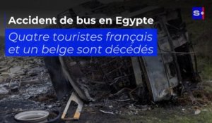 Accident de bus en Egypte : quatre Français et un Belge sont décédés