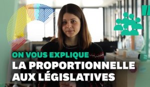 La proportionnelle aux élections législatives, ça changerait quoi?