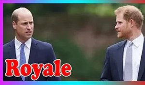Le prince William devrait-il travailler pour rés0udre la querelle avec le prince Harry?