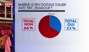 33% des Français pense qu'il faut une alliance entre Marine Le Pen et Éric Zemmour