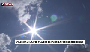 L'Ille-et-Vilaine touchée par un épisode de sécheresse