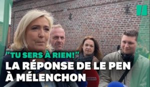 La réponse de Le Pen à Mélenchon qui l'accuse de ne servir à rien