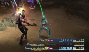 Final Fantasy XII online multiplayer - ps2