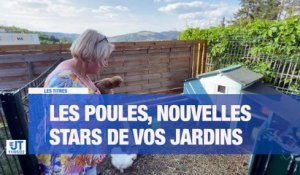 À la UNE : les suites de l'enquête sur les piqûres en boîte de nuit / le CHU de Saint-Etienne recrute / La poule : nouvel animal tendance dans la Loire / La saison tonitruante du SCBVG.