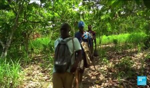 COP15 à Abidjan : la déforestation ne ralentit pas en Côte d'Ivoire