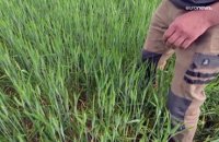 France : inquiétude des agriculteurs face aux sécheresses plus fréquentes