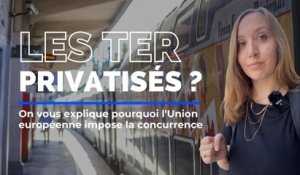 La privatisation des trains en PACA, une bonne nouvelle pour les usagers ?