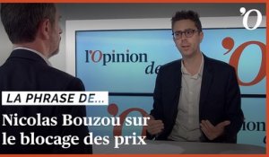 Nicolas Bouzou: «En bloquant les prix, on accentue les pénuries»