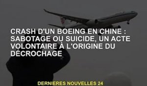 Crash de Boeing en Chine : sabotage ou suicide, acte volontaire d'origine décrochage