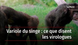 Variole du singe : ce que disent les virologues