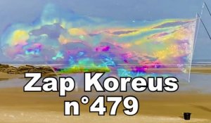 Zap Koreus n°479