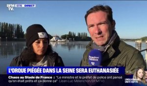 L'orque piégée dans la Seine sera euthanasiée