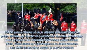 Prince William - vive polémique au Royaume-Uni à cause de l'attitude très suspecte de son cheval