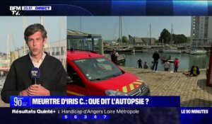 Meurtre d'Iris C: un parc jouxtant le port de Lorient passé au crible par la police scientifique