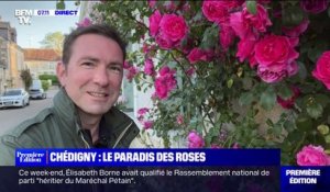 Avec plus de roses que d'habitants, la commune de Chédigny est classée "Jardin remarquable"