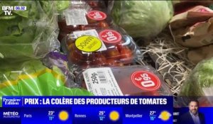 Les producteurs de tomates dénoncent une sur-représentation de tomates d'origine marocaine dans les grandes surfaces