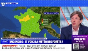 Ce qu'il faut savoir de la météo des forêts déployée à partir de ce vendredi par Météo-France