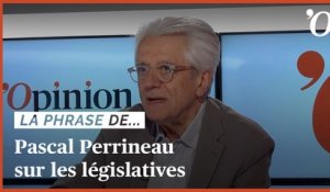 Pascal Perrineau: «Sans majorité absolue, Emmanuel Macron apprendra un peu de culture parlementaire»