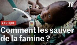 Famine en Afrique : une méthode simple pour sauver des milliers de vie ?