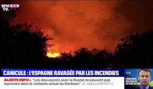 Canicule: ravagée par des incendies, l'Espagne est en alerte maximale
