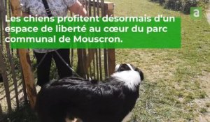 Une zone de liberté pour chiens à Mouscron