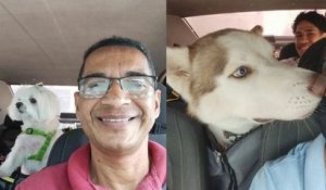 Il lance un service de taxi pour animaux et se prend en selfie avec ses compagnons de route