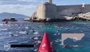 Marseille : Des dizaines de nageurs ont été piqués hier par des méduses alors qu'ils participaient à une course en mer au large du château d’If