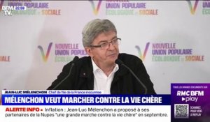 Jean-Luc Mélenchon envisage "une grande marche contre la vie chère" en septembre "à l'initiative de la Nupes"